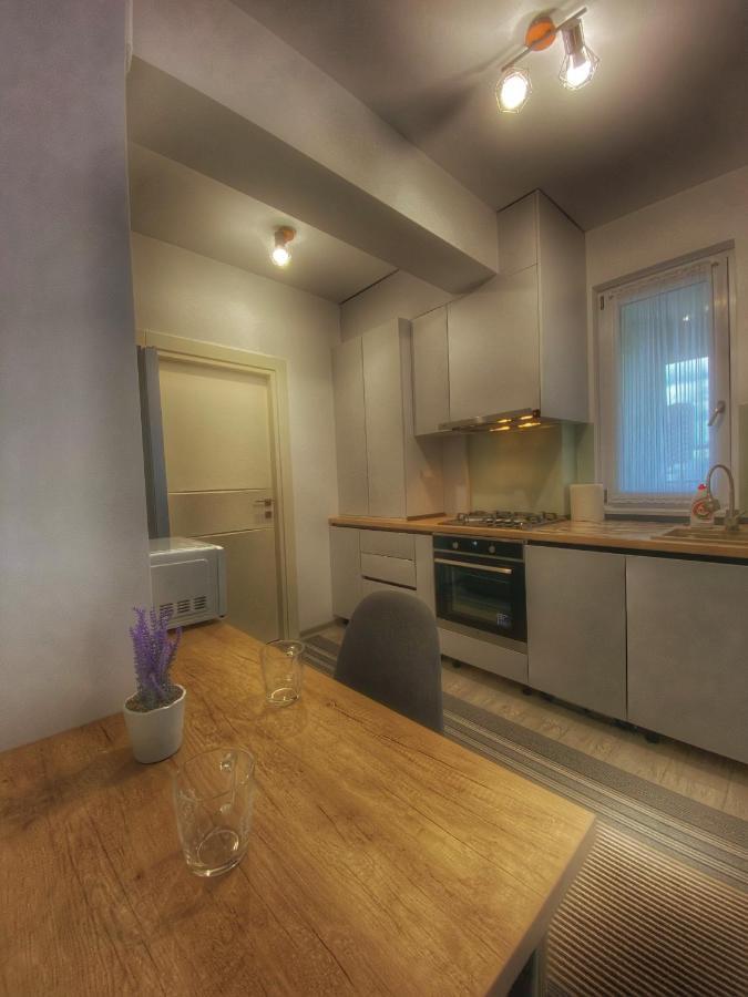 Homey Apartament 2 Rooms Palas Mall Iasi Extérieur photo