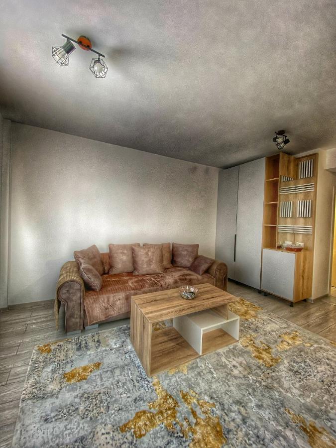 Homey Apartament 2 Rooms Palas Mall Iasi Extérieur photo